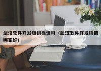 武汉软件开发培训靠谱吗（武汉软件开发培训哪家好）