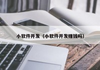 小软件开发（小软件开发赚钱吗）