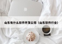 山东有什么软件开发公司（山东软件行业）