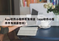 App软件小程序开发项目（app软件小程序开发项目包括）