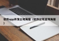 软件app开发公司海报（软件公司宣传海报）