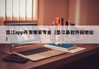 垫江app开发哪家专业（垫江县软件园地址）