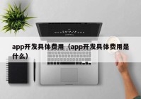 app开发具体费用（app开发具体费用是什么）