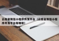 云南省微信小程序开发平台（云南省微信小程序开发平台有哪些）