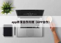 app开发合作代理（APP合作）