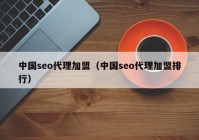 中国seo代理加盟（中国seo代理加盟排行）