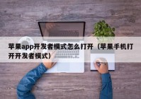 苹果app开发者模式怎么打开（苹果手机打开开发者模式）