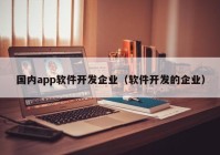 国内app软件开发企业（软件开发的企业）