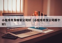 小程序开发哪家公司好（小程序开发公司那个好）