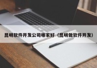 昆明软件开发公司哪家好（昆明做软件开发）