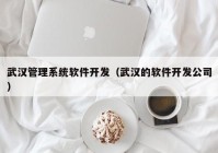 武汉管理系统软件开发（武汉的软件开发公司）