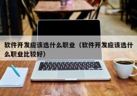 软件开发应该选什么职业（软件开发应该选什么职业比较好）