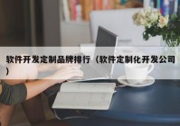 软件开发定制品牌排行（软件定制化开发公司）