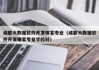 成都大数据软件开发哪家专业（成都大数据软件开发哪家专业学校好）