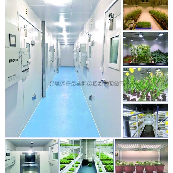 一文了解植物人工气候室是什么？