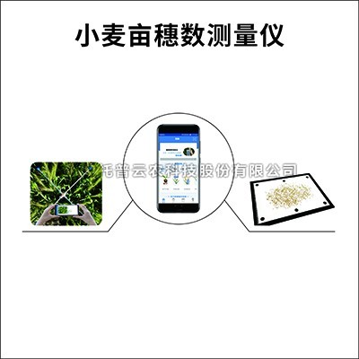 小麦亩穗数测量仪/系统：测量小麦亩穗数的育种测产仪器