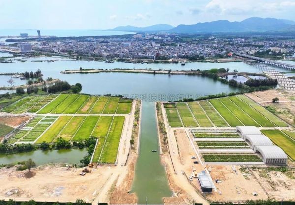 为盐碱地安上“技术芯片”，壹号娱乐打造耐盐碱水稻科研试验基地建设解决方案