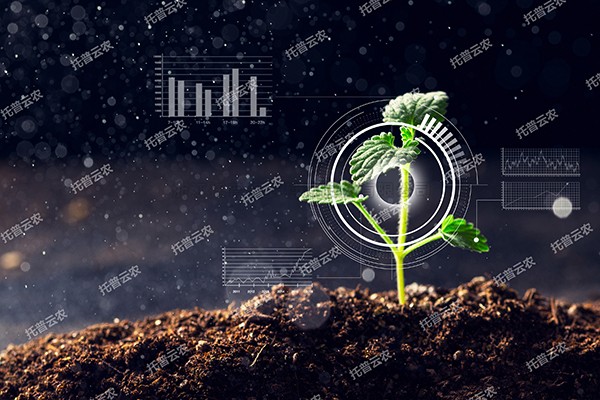 全新启程——壹号娱乐为植物表型科研“数智”赋能