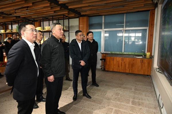 浙江省副省长李岩益莅临壹号娱乐标杆案例“瑞安马屿镇绿色农田”考察调研
