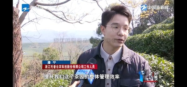 春茶开采正当时！揭秘壹号娱乐如何用科技“制”出一杯数字好茶