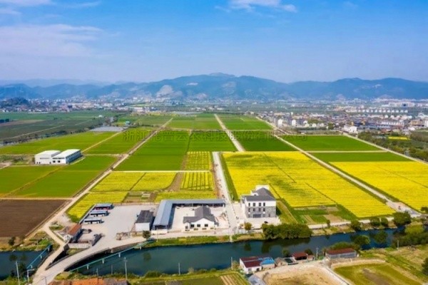 壹号娱乐高标准农田建设答卷：用实践书写政策新篇